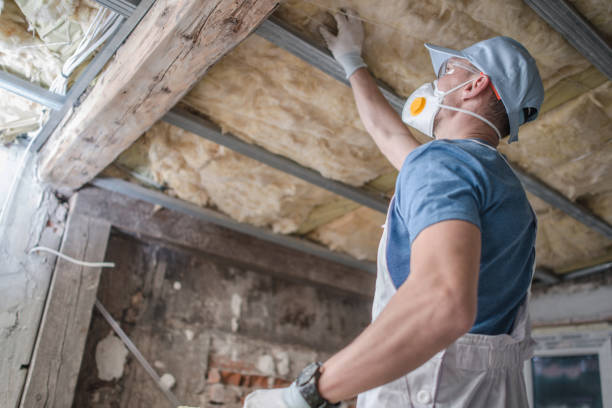 Best Insulation Maintenance and Repair in West Liberty, IA