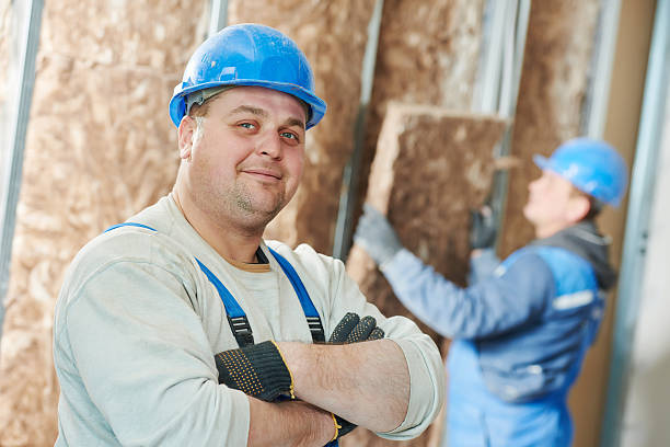 Best Geographic-Specific Insulation Services in West Liberty, IA