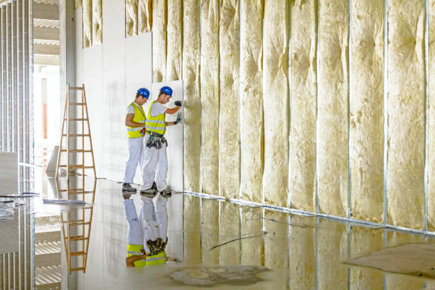 Best Geographic-Specific Insulation Services in West Liberty, IA